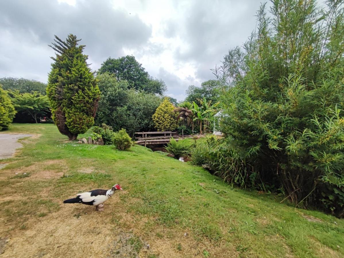 Tree Fern Barn St Austell Exterior foto